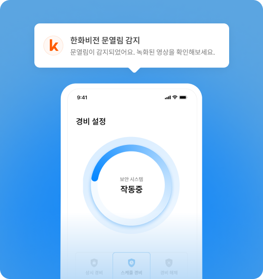 원격 보안